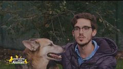 Margherita, una cagnolina eroica