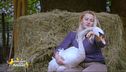 Il cigno Raimondo