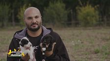 Barry e Cognac, due cuccioli in cerca di casa