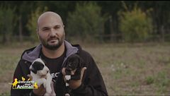 Barry e Cognac, due cuccioli in cerca di casa