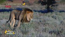 Le interviste impossibili di Dalla parte degli animali