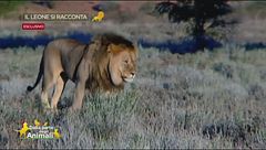 Le interviste impossibili di Dalla parte degli animali