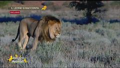 Le interviste impossibili di Dalla parte degli animali