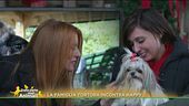 L'adozione di Happy