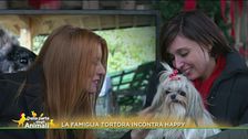 L'adozione di Happy
