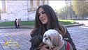 Gli amici a quattro zampe di Giorgia Palmas