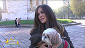 Gli amici a quattro zampe di Giorgia Palmas