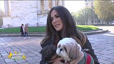 Gli amici a quattro zampe di Giorgia Palmas
