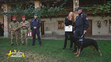 Il nucleo cinofilo dei Carabinieri