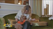 Elena Barolo e Whiskey