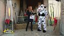 La mucca si racconta