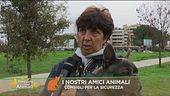 I nostri amici animali