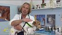 I consigli del veterinario