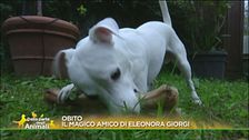 Eleonora Giorgi e Obito