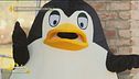 Il pinguino si racconta