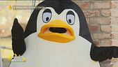 Il pinguino si racconta