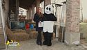 Il panda si racconta
