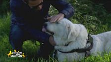 Golia, salvato dalla tragedia di Rigopiano