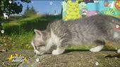 Elisa "Ho salvato un gattino"