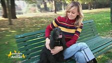 Piper, l'amico del cuore di Justine Mattera