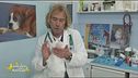 I consigli del veterinario