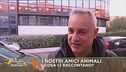 I nostri amici animali