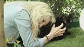 Ivana Spagna ed i suoi 4 mici