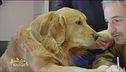 Boe, un cane amorevole