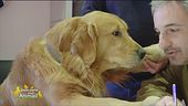 Boe, un cane amorevole