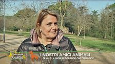 La gioia di avere un amico animale