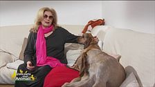 Lily e Brize, le cagnoline di Iva Zanicchi