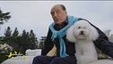 Gli amici a quattro zampe di Silvio Berlusconi