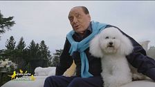 Gli amici a quattro zampe di Silvio Berlusconi