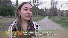 I nostri amici animali