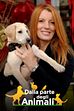 I nostri amici animali