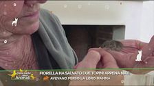 Un salvataggio speciale