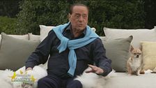 Silvio Berlusconi e gli animali