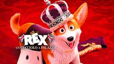 Rex - Un cucciolo a palazzo