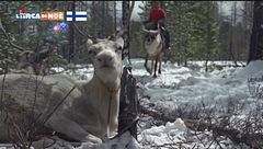 Puntata del 6 gennaio