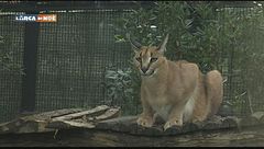 Puntata del 13 gennaio