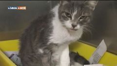 Puntata del 20 gennaio