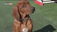 Puntata del 3 febbraio