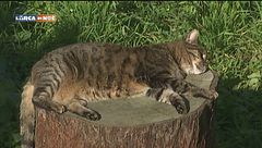 Puntata del 17 febbraio