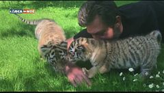 Puntata dell'8 settembre