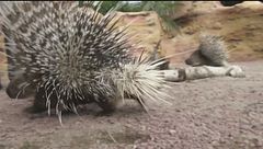 Puntata del 15 settembre