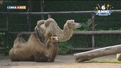 Puntata del 22 settembre