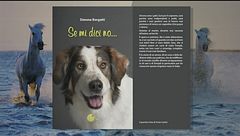 Il Can-piello
