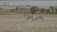 Puntata del 6 ottobre