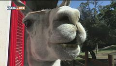 Puntata del 10 novembre