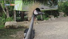 Puntata del 17 novembre